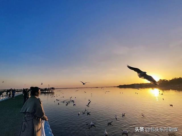 秋日限定 快来南海和“鸥气”撞个满怀！
