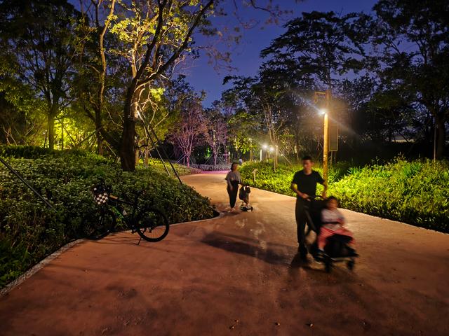 西丽湖国际科教城绿道，看霞飞满天，如梦似幻！长岭陂地铁C口