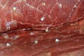 你真的吃对猪肉了吗？小心面条虫！图片