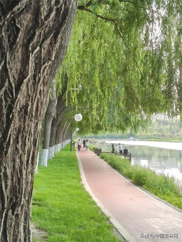 吉林省生态文明建设成果宣传展专题上线，共赏吉林绿色发展新画卷