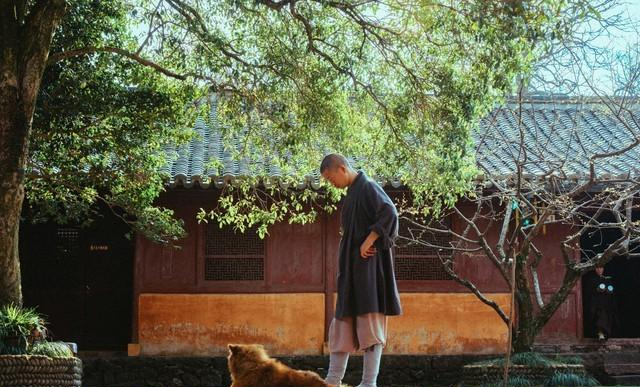 站桩实修关隘解析：从“肩撑肘横”到“逆腹式呼吸	”的武学贯通