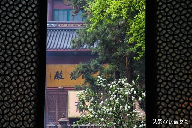 杭州的春天原来这么美，推荐这样玩！