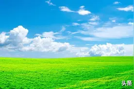 当你老了，躺在病床上就会明白：世界上最亲近的人，只有3个！图片