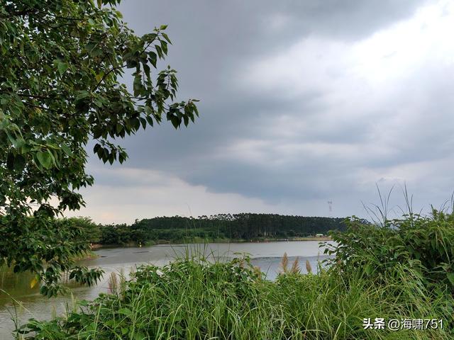 南海金沙岛国家湿地公园