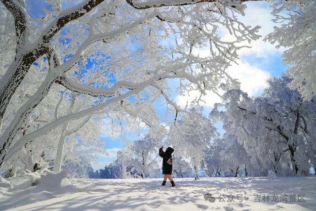 告别金秋，邂逅龙湾初冬！赏雪、观雾凇攻略，这两处景区别错过~