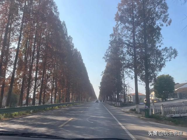 两广避寒2，荆州到常德