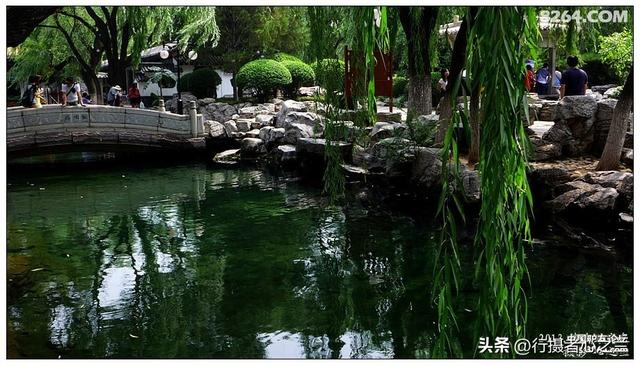 山东行游影记（5）—济南趵突泉（五）