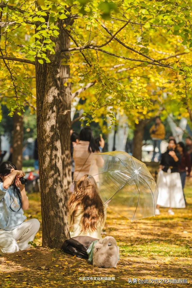 限时绝美！武汉街头颜值巅峰，地铁直达
