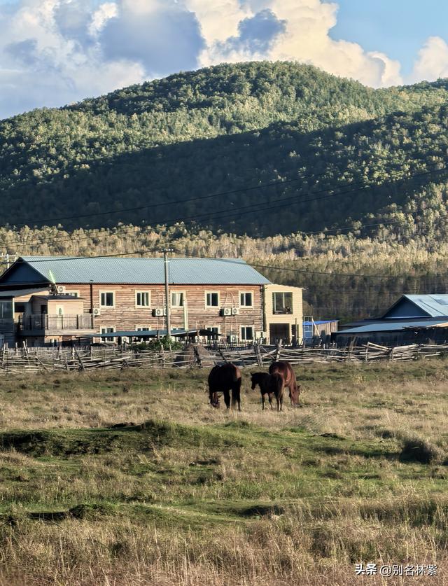 游览亚洲最大的额尔古纳湿地，分享恩和住宿（14）