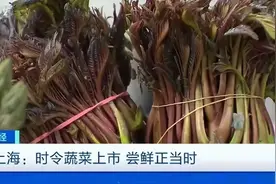 农村宝藏：香椿木的惊人价值揭秘，竟然是“百木之王”！图片