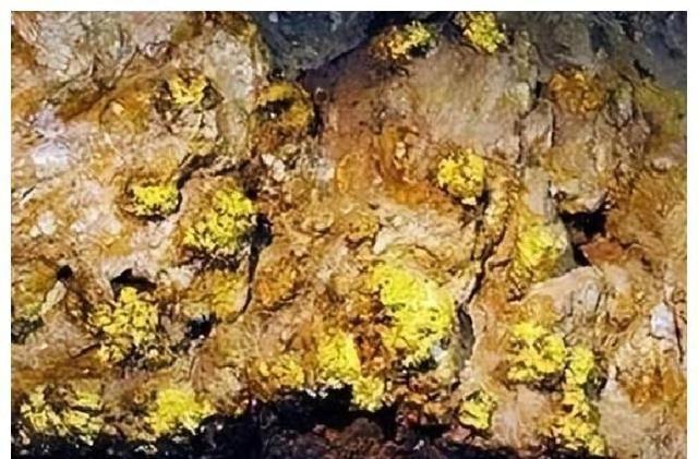浙江深山发现大量黄金，洞口附近还有人骨，专家：山洞里黄金更多
