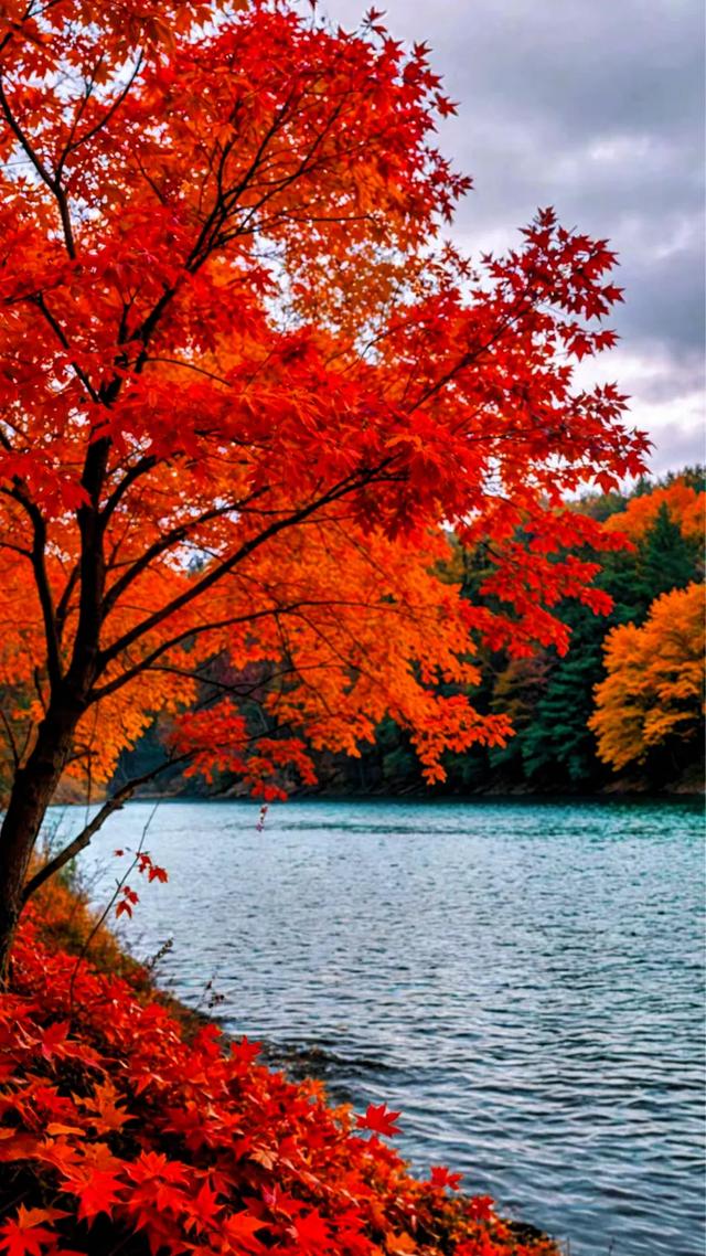 一瞬间的五彩斑斓