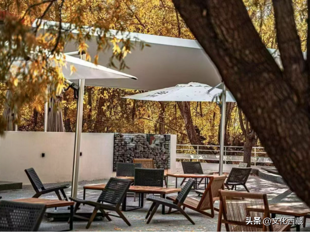 赶紧码住！西藏新玩法！这个冬天，去这里过林卡！