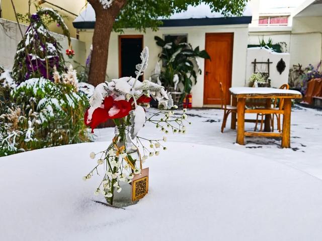 雪后的盐都，每一帧都是壁纸