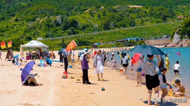 大京景区单日接待1.5万游客，这份“人气答卷”藏着沙滩与海浪的狂欢