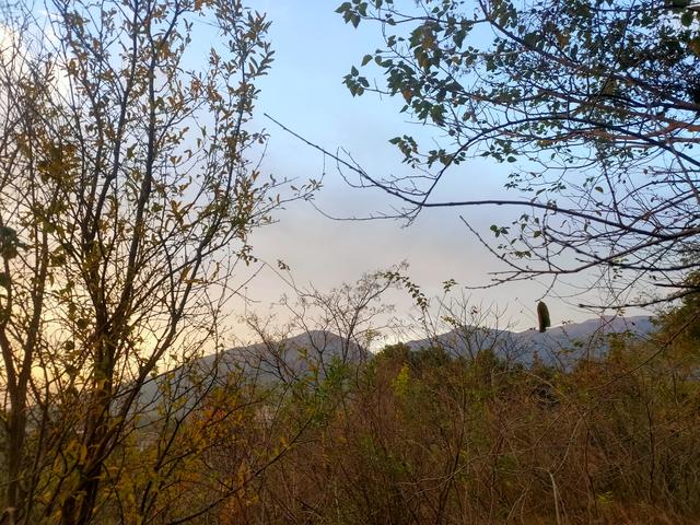 站在同一个地方，想看到不一样的风景，那就请抬头——