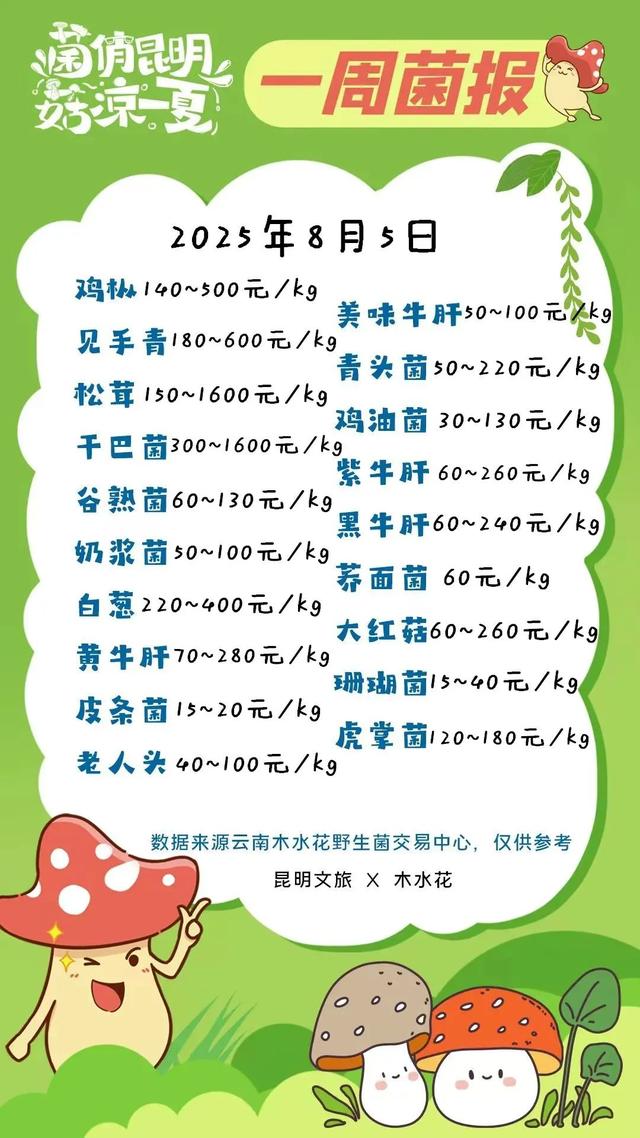 这个季节来云南，抓根树枝我们去“打野”