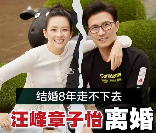 12月即将结束，46岁章子怡再次官宣喜讯，撕碎汪峰仅剩的体面。