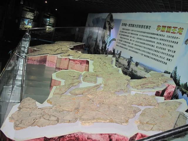 “齐鲁天路”诸城段景点（二）：中国诸城暴龙馆