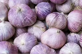 不用买种子！手把手教你种出圆溜溜的独头蒜图片