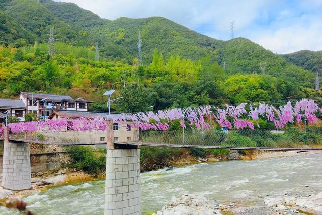 佛坪西岔河镇漫游记:在鹿鸣、稻香与古银杏间邂逅秦岭深处的诗意