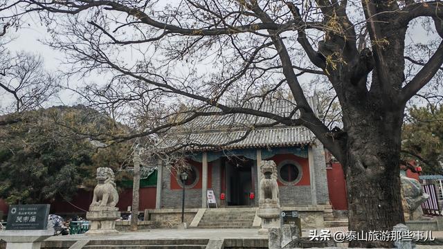 泰安：它被誉为泰山“开山第一庙”，却常常遭到登山游客的忽略