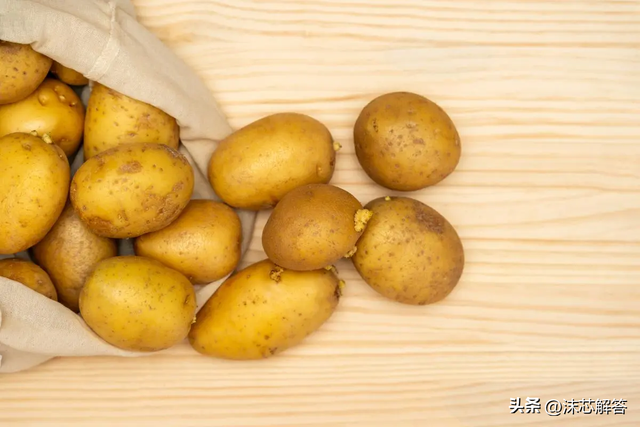 什么程度的土豆算发芽，揭秘土豆发芽：什么程度才算是危险的开始