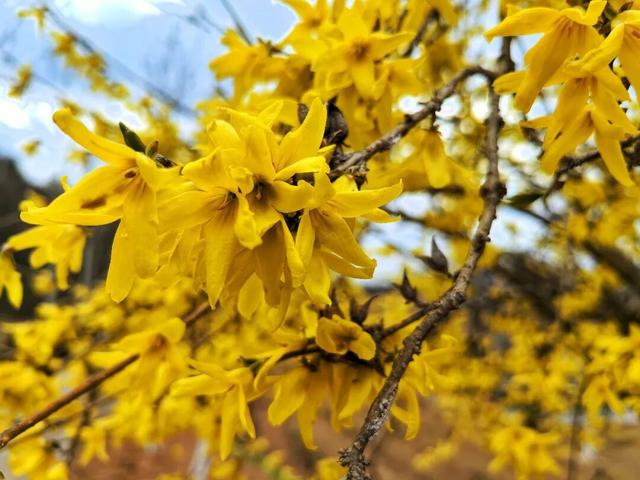 在两当，春天就要Color Walk→