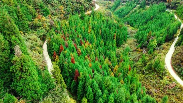 去邛崃！赴一场暖阳与山间的私语