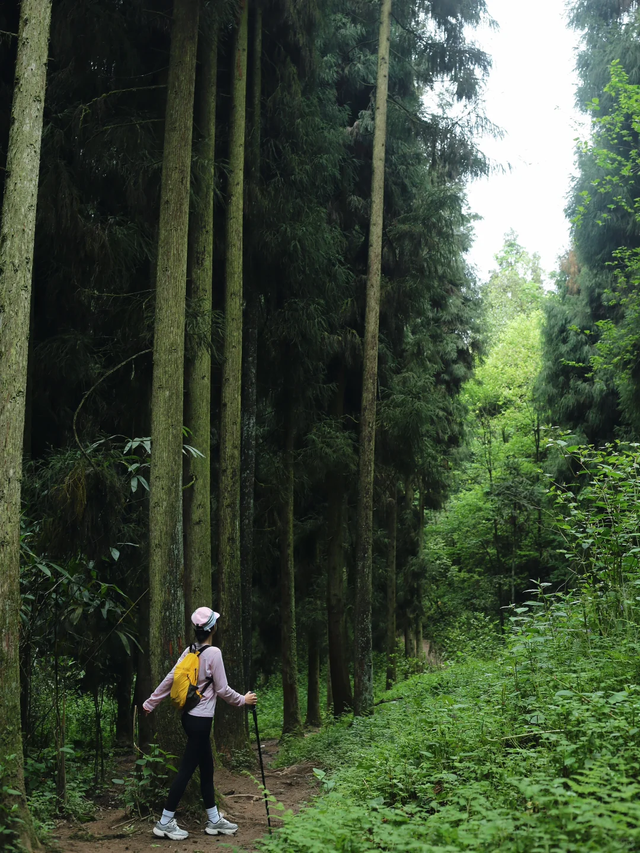成都1.5小时可达的野山，斗底山徒步真的很酸爽！