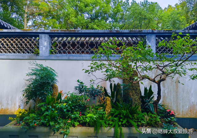 杭州秋日哪些地方值得去玩？六大免费惊艳地来了，各个都是心头好