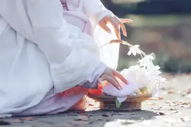 《半壶纱》歌词解析：那些藏在旋律中的情感秘密图片