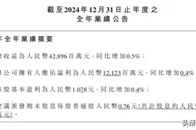 瓶装水之王业绩依旧坚挺！农夫山泉发布2024年财报，净利润超121亿图片