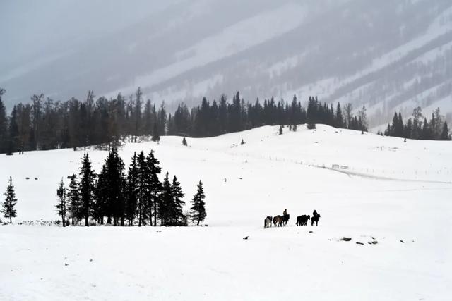 千万别在冬天去新疆!因为去了就回不来了……