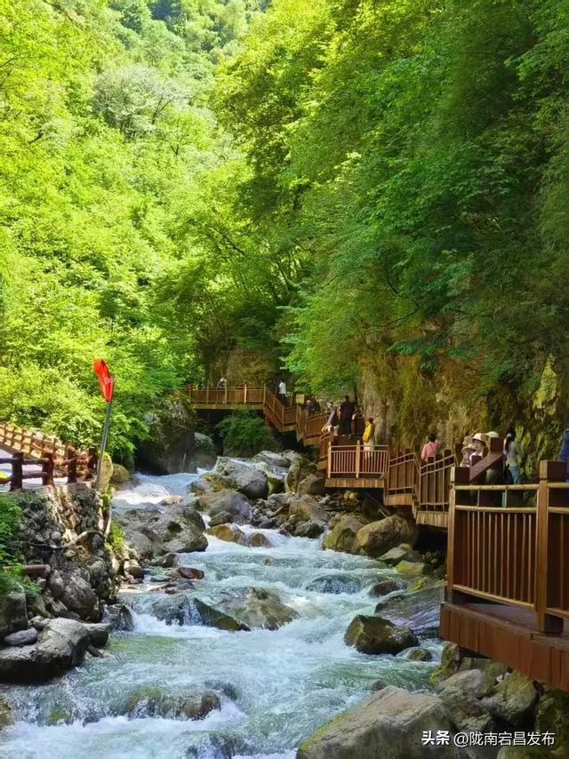 宕·寻22°的夏天！甘肃宕昌：药乡山水调出清凉康养“大处方”
