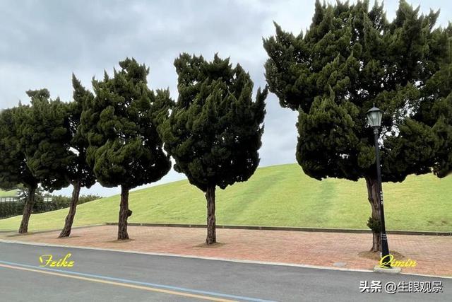 影记 | 网红打卡地，青岛小麦岛探影