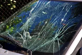 玻璃大王前三季度净赚41亿，股价刷新年内新高图片