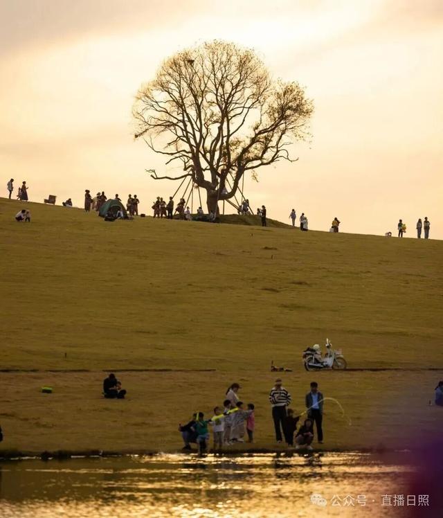 山东的阿勒泰私藏在日照！秋风一吹，如此绚烂！