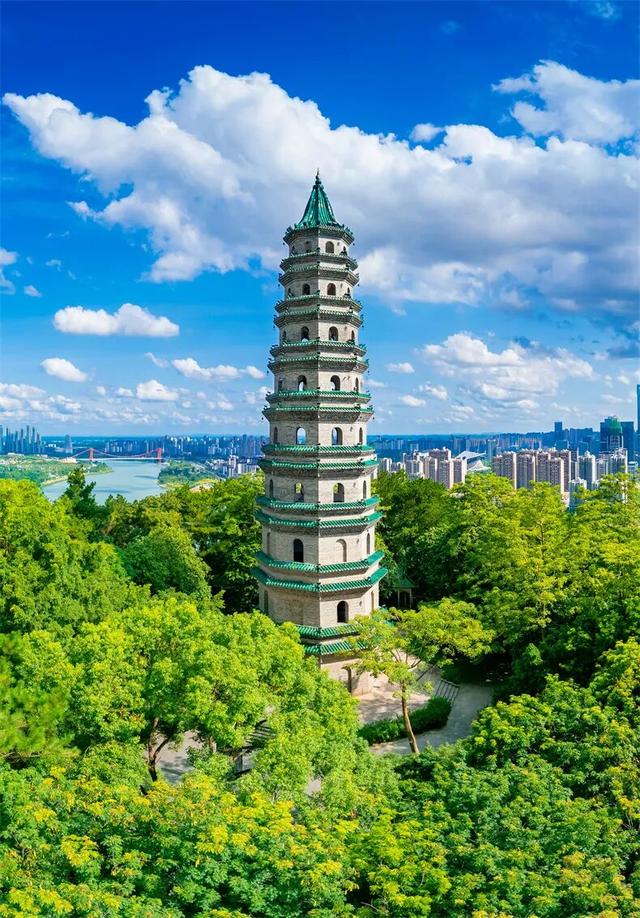 一半是安逸养老，一半是熬夜天堂！这座城冬天有鲜花，凌晨有人潮