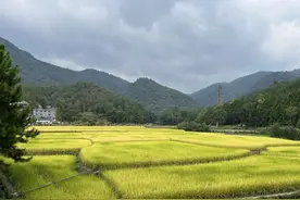 经历过大起大落之后，才明白的事图片