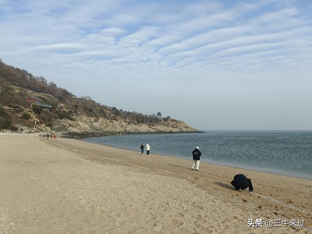 无为在歧路，2025之经行