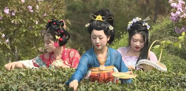 39项！宁强“双节”文旅活动出炉→