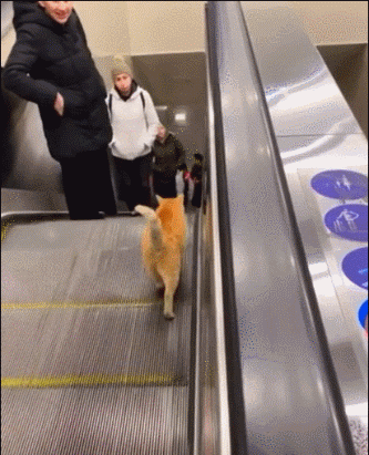 用了整整14年！终于有人找到了《我的世界》的“结局”！