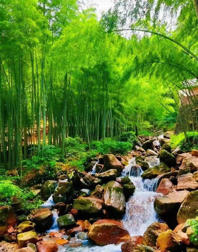 联动抖音官方ip“来江西晒个秋”带你玩转鹰潭，跟随旅游主播，打卡秋日同款场景！