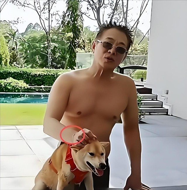 李连杰“换心”真相大白，向太曝更多内幕，一夜回春秘密终被揭开