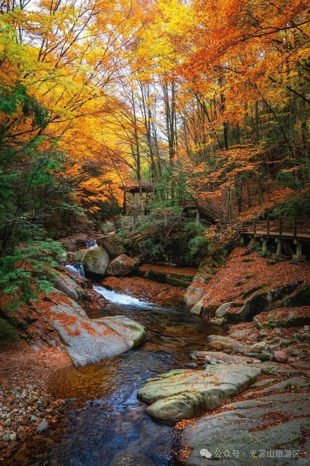 宝子你听我说，近期天气好、红叶美，光雾山可以冲了!