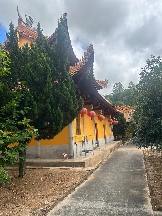 长乐沙京龙泉禅寺