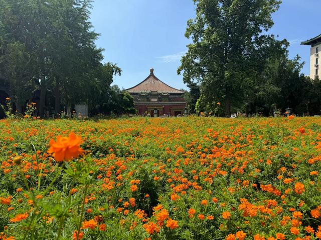 深度 | 北海百年，从皇家御苑到人民公园