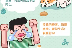 宠物猫做手术后身亡，宠物公司起诉猫主人差评侵害名誉权，法院：消费者有权利质疑批评图片