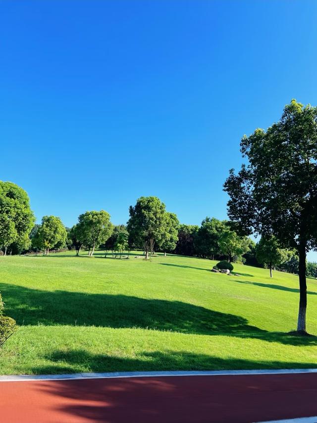 芜湖下一个主城或将诞生？不是无为、南陵，堪称最具黑马相的城区